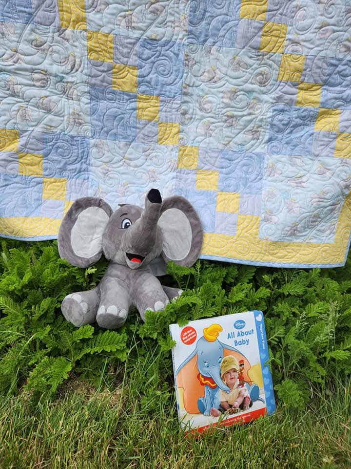 Follow Your Dreams Elephant Quilt