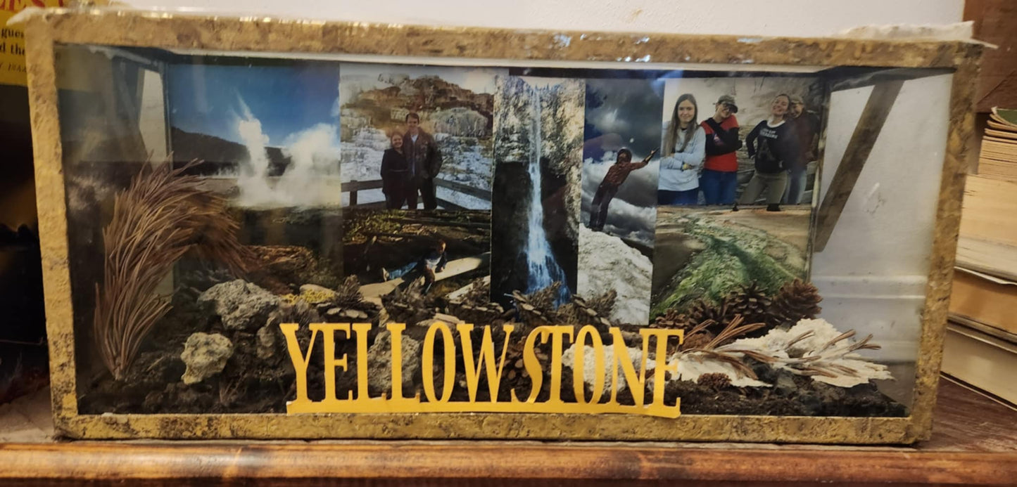 A metal fish tank with photos along the back with dirt stone and plant on the bottom. The wood Yellowstone along the front