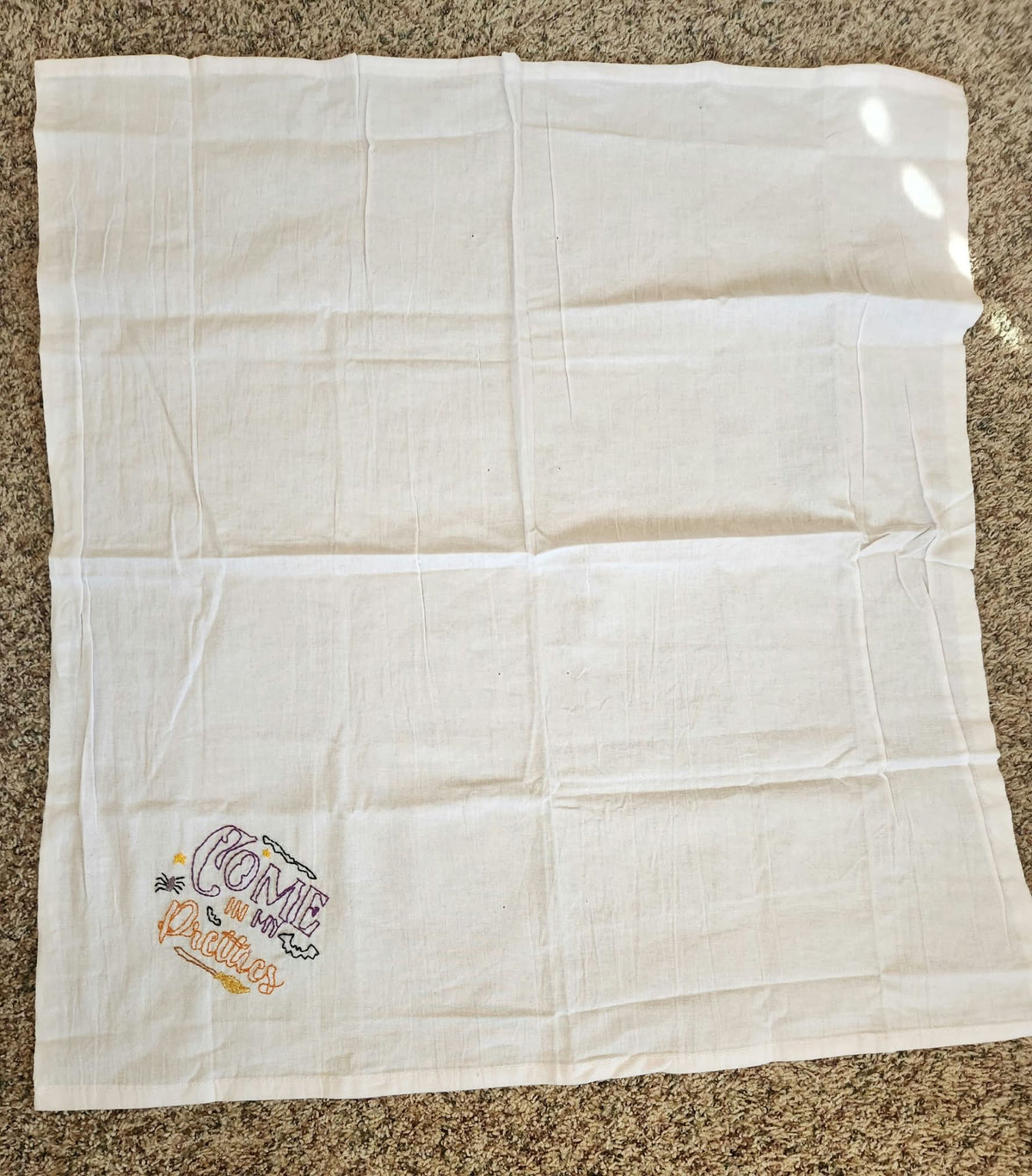 Embordered Halloween Dish Towels